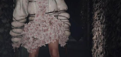 Ivory — basic info about me.